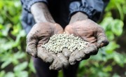 Nyayany Boh is part of the Concern Worldwide supplementary feeding programme in Gambella, Ethiopia. Here she is with Solomom Tibebu, an outreach worker tending to her garden. Photo: Jennifer Nolan/Concern