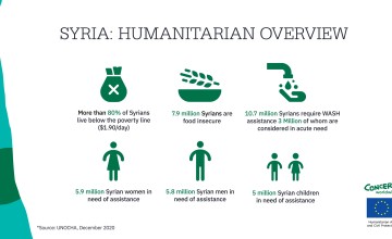 Infographic of Humanitarian Overview in Syria