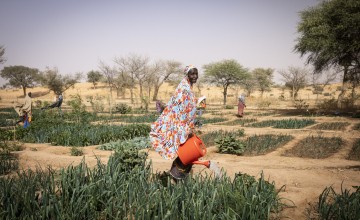 Doma, 70, has been working in the garden for 4 years since the garden began. Doma says with the diversity of the vegetables they grow in the garden the children are healthier. Photo: Ed Ram/Concern Worldwide