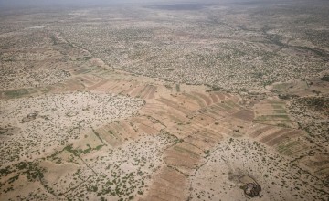 Farm land where soil erosion is prevented by planting Sisal plants and building walls in gullies and soil burns in Somalia. Photo: Ed Ram/Concern Worldwide